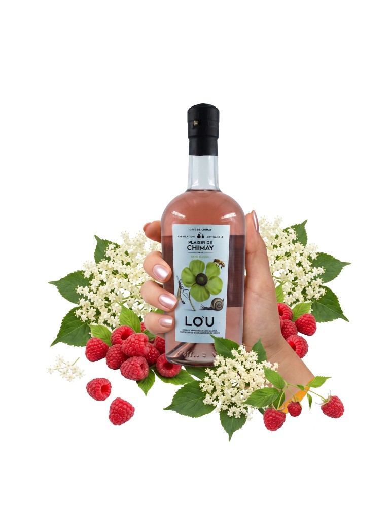 Une bouteille de plaisir de Chimay, Gin sans alcool tenue en main, agrémentée de fleurs de sureau et de framboise.